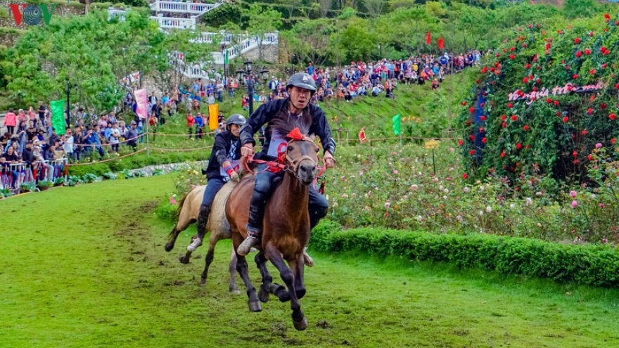 Crowds in Sa Pa thrilled by local horse race